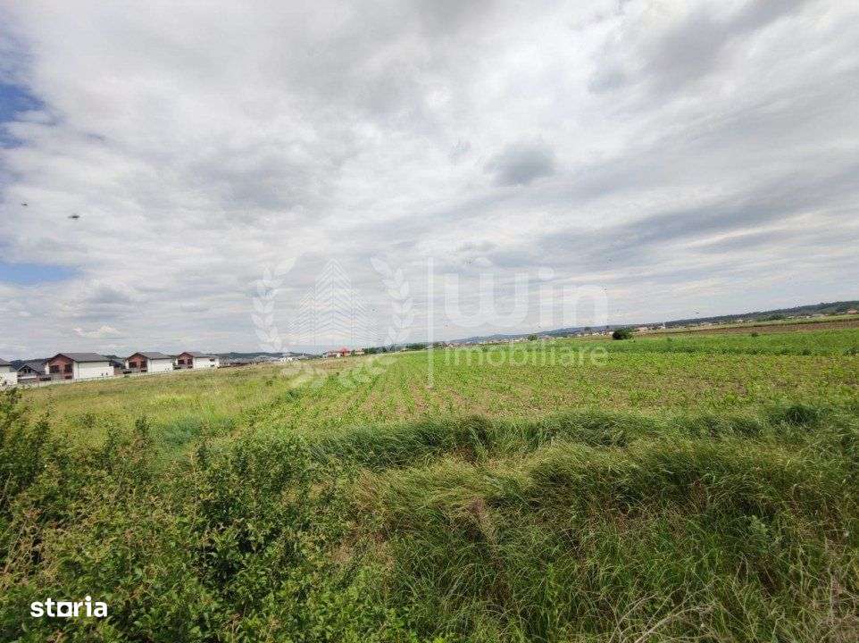 Teren intravilan 7200mp | Ideal investitie | Front 35m| Jucu de Mijloc - Imagine principală: 2/2