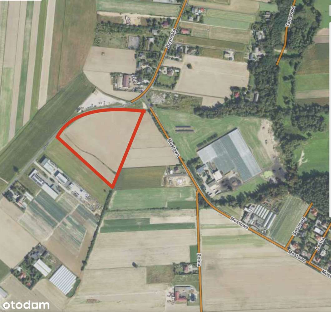 Działka inwestycyjna, Kalisz (trasa na Grabów) - Pełny obrazek: 2/2