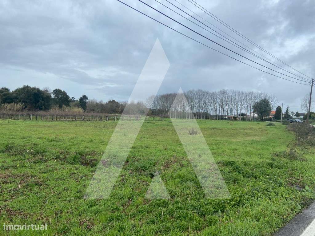 Terreno na Amoreira da Gândara em Anadia-10