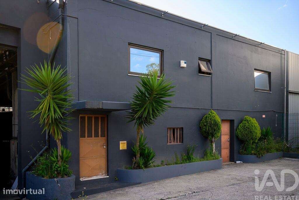 Armazém em Nogueira do Cravo e Pindelo de 1606,00 m2 - Grande imagem: 3/14