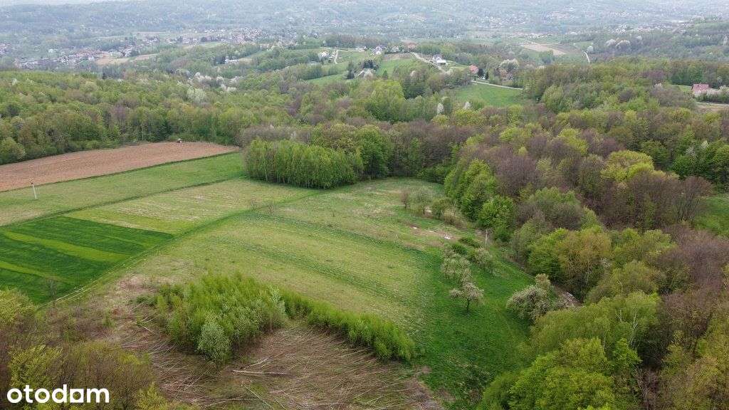 Widokowa działka, 98 arów - Kielnarowa - Pełny obrazek: 5/5