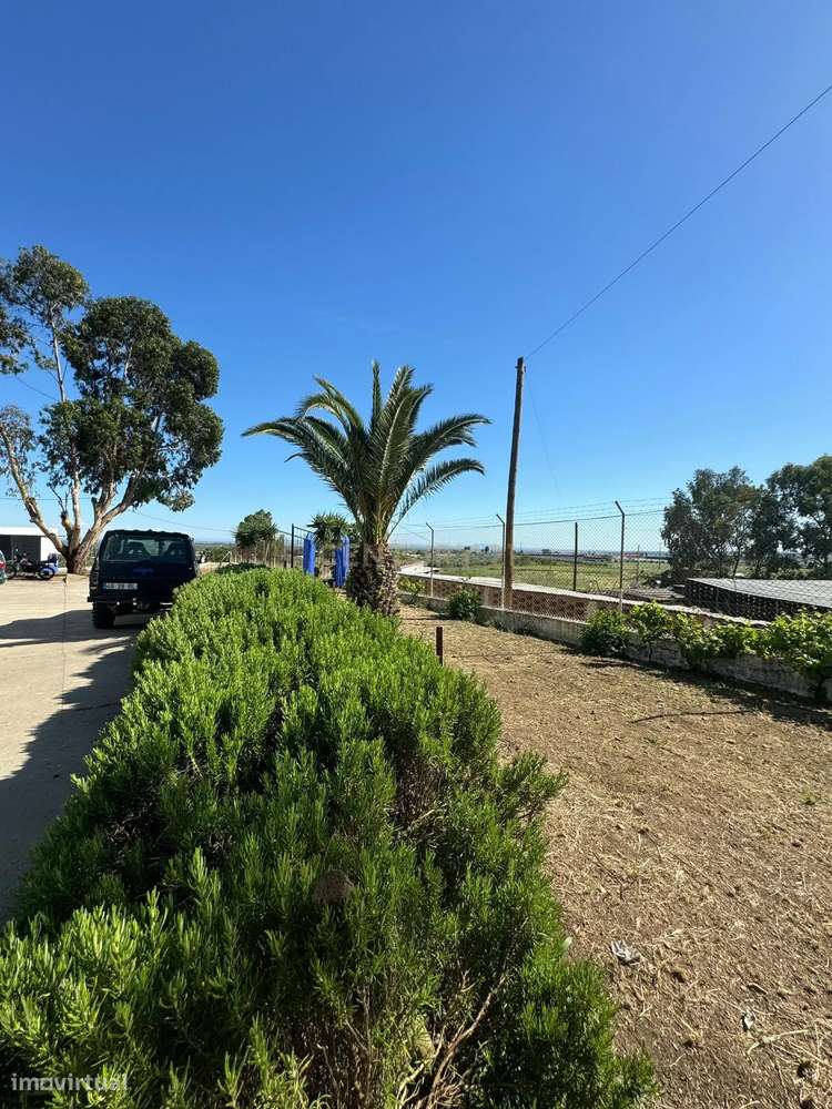 Moradia/ Moinho Renovados com Vista Panorâmica para Campo Maior - Grande imagem: 5/48