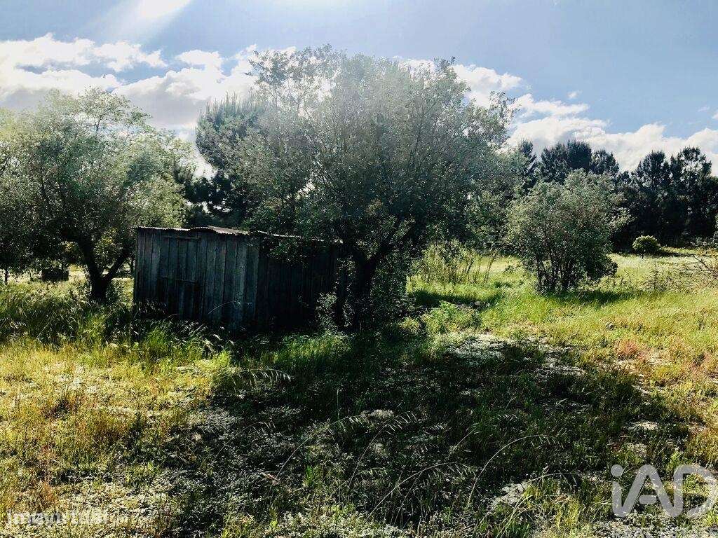 Terreno em Palmela de 243,00 m2 - Grande imagem: 2/20