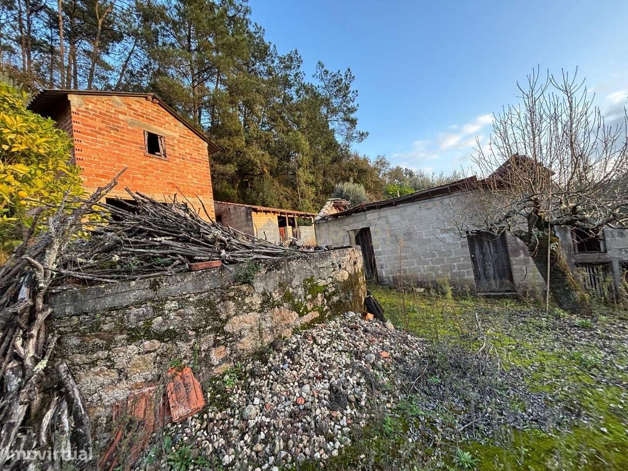 Quintinha Encantadora no Campo - Grande imagem: 5/32