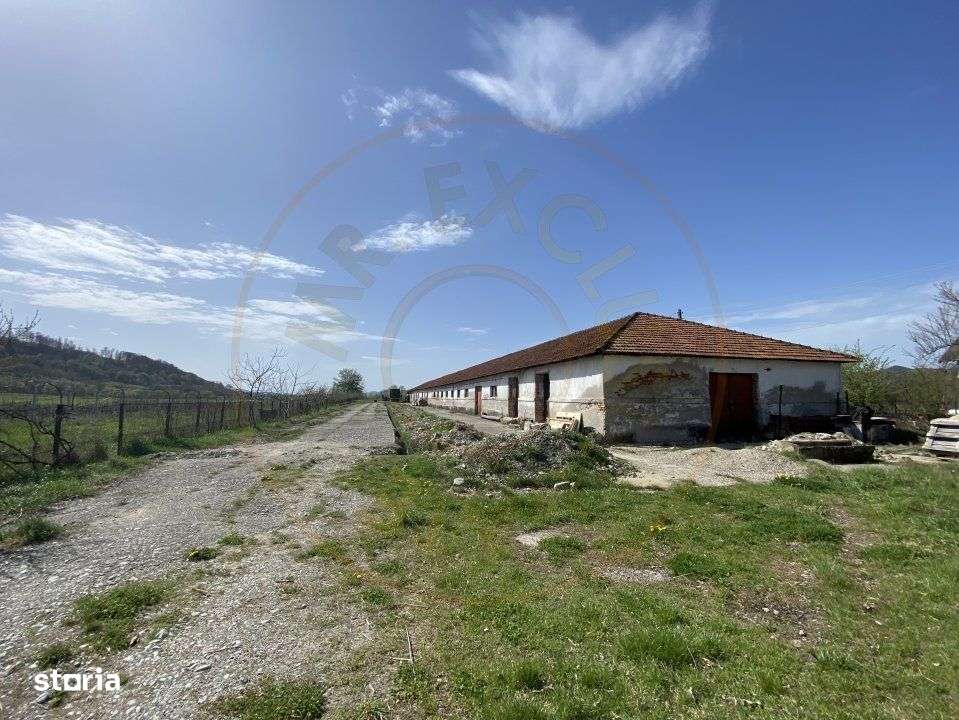 Teren intravilan cu grajduri si anexe – Aninoasa AG - Imagine principală: 2/9