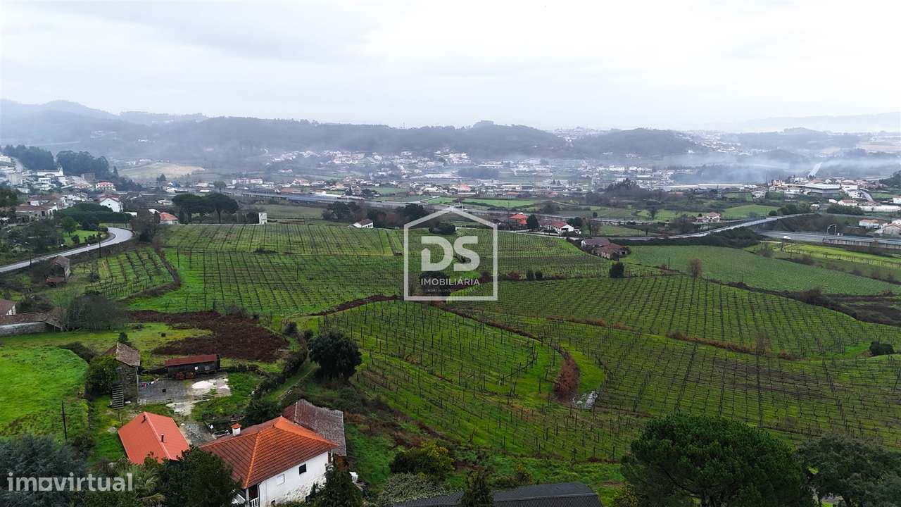 Terreno, Porto, Lousada, Figueiras e Covas-11