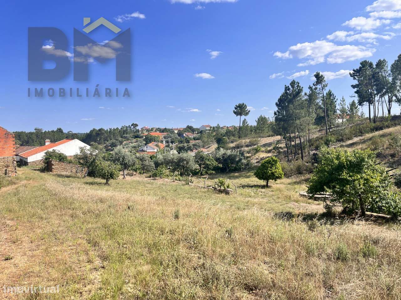 Moradia T3 Venda em Santo André das Tojeiras,Castelo Branco-32