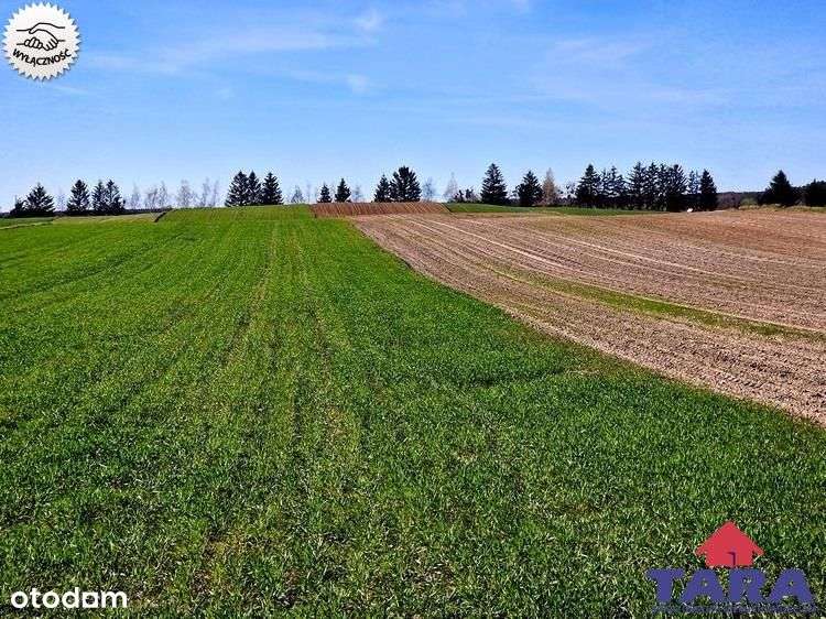 Grunt w Załachowie-7