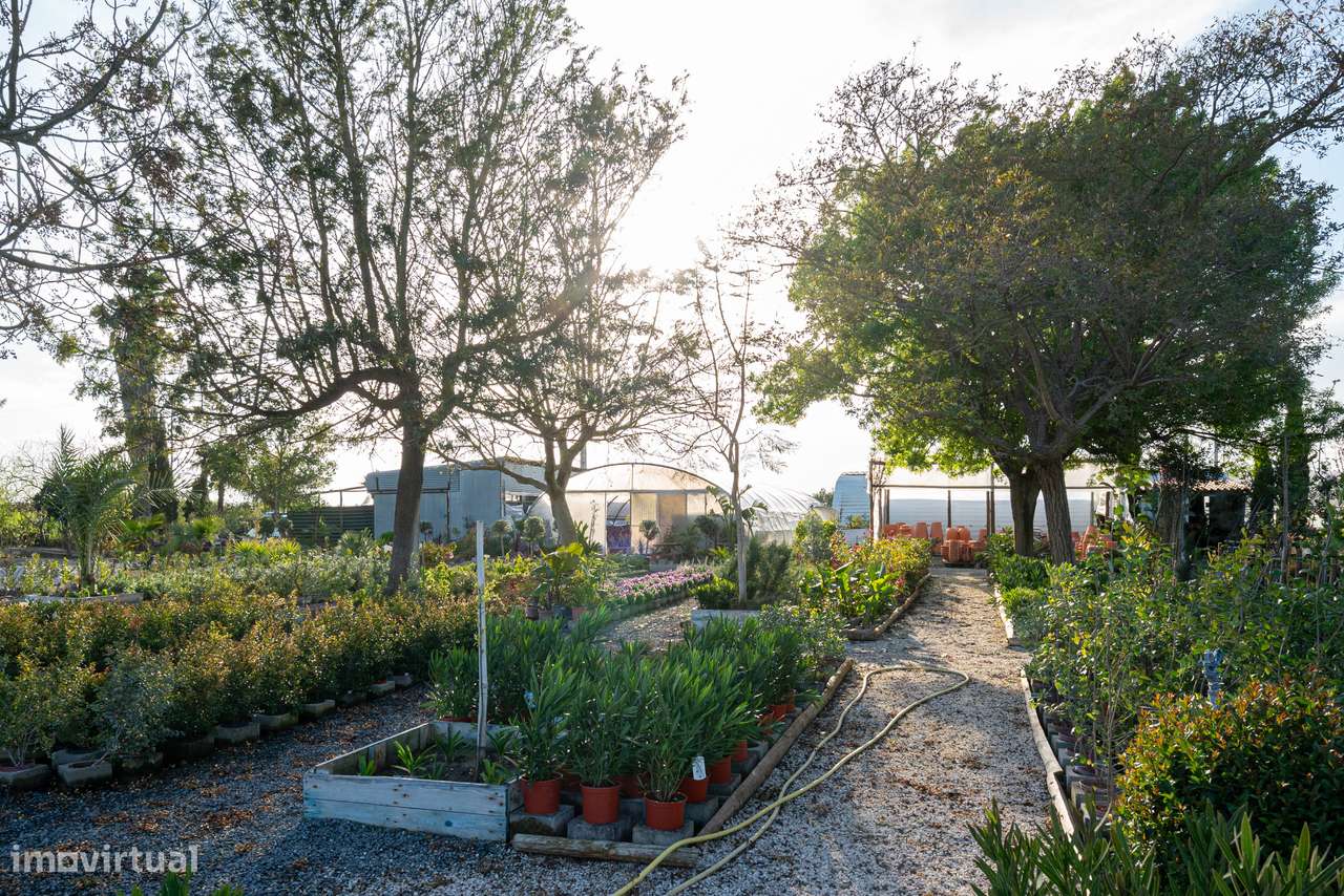 Trespasse de Centro de Jardinagem – Negócio Completo e Equipado - Beja-18