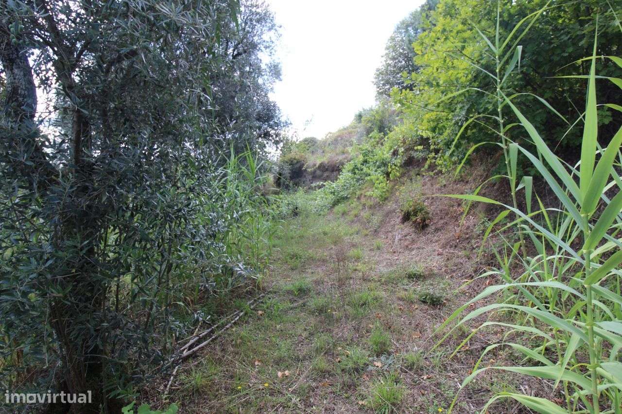 Terreno Urbano - Grande imagem: 3/5