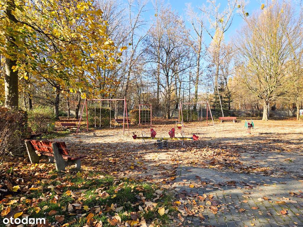 2 poziomy, po remoncie, umeblowane, Żabie doły-11