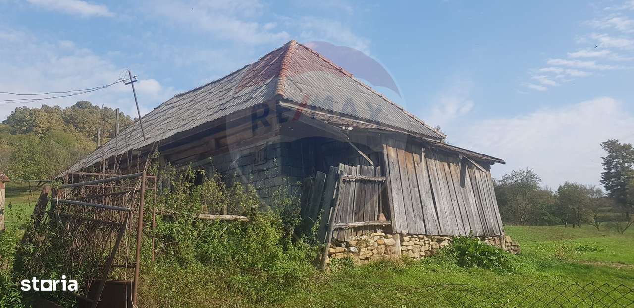 Casă si teren 1.6 ha de vânzare, în Rona de Jos-2