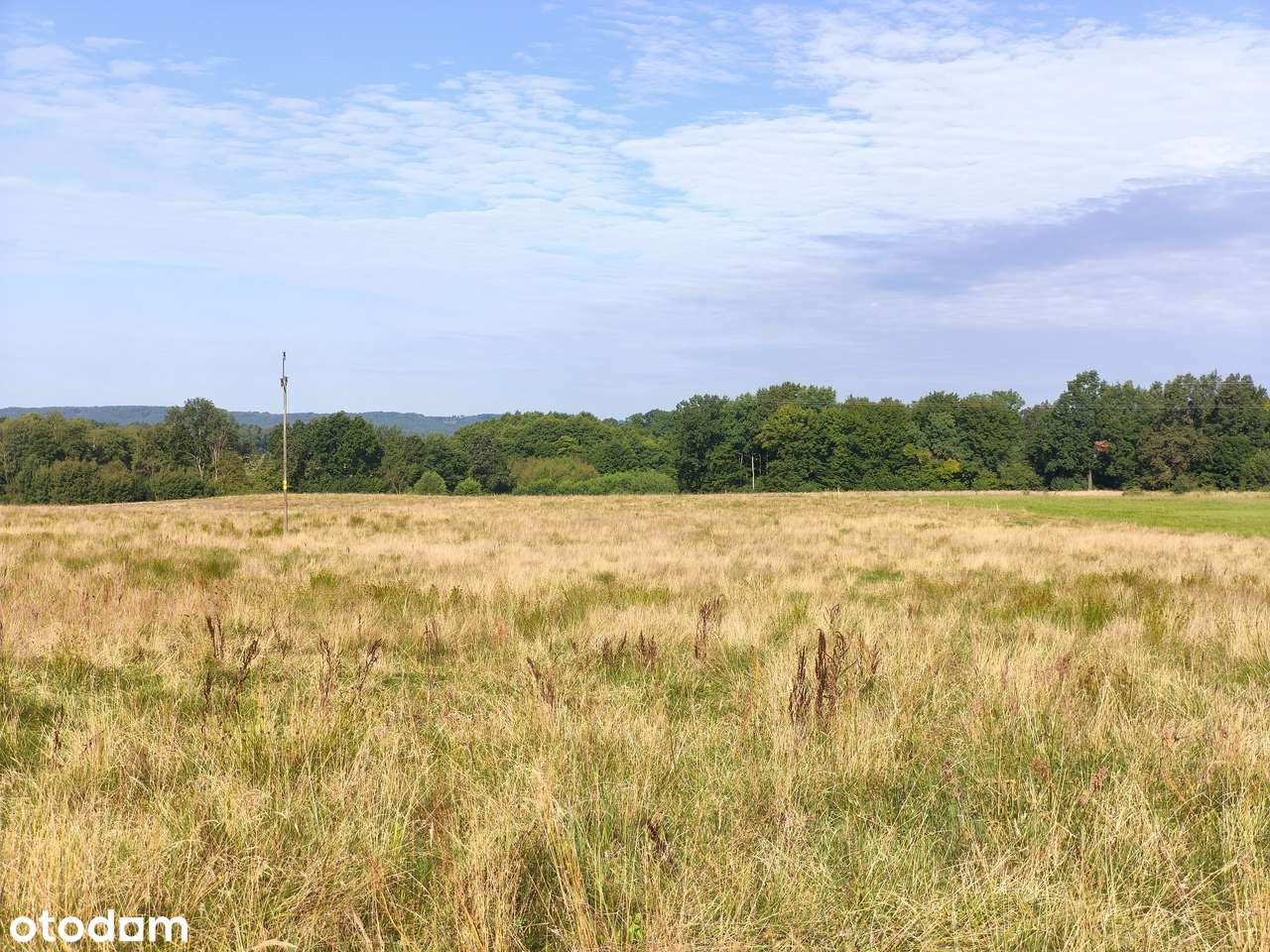 Z dala od spojrzeń sąsiadów - Pełny obrazek: 4/15