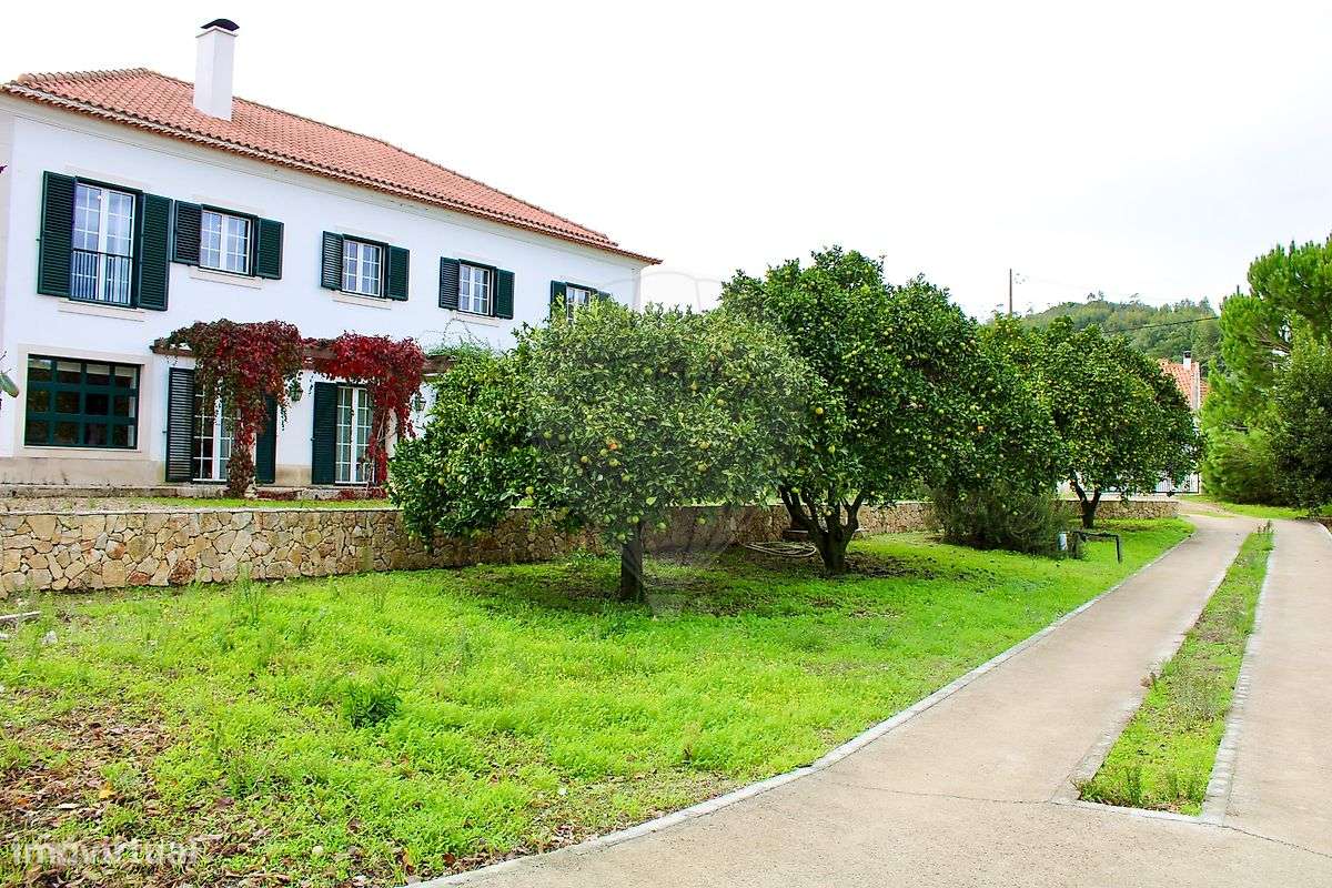 Quinta T5 para venda - Grande imagem: 4/30