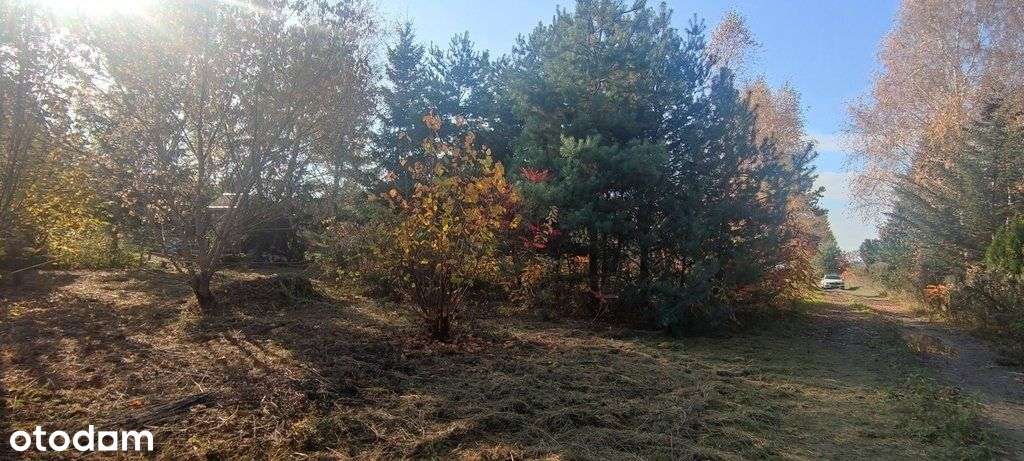 Koczargi Stare-zab. jednorodzinna lub bliźniacza.-6