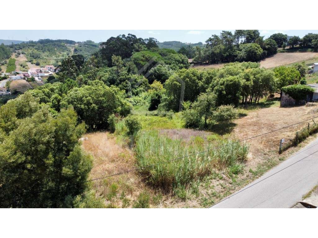 Terreno para construção, Relvas - Grande imagem: 5/6