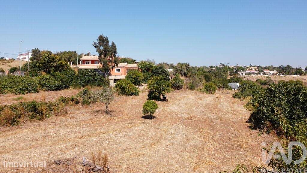 Terreno para construção T6 em São Gonçalo De Lagos de 1000,00 m2 - Grande imagem: 5/5