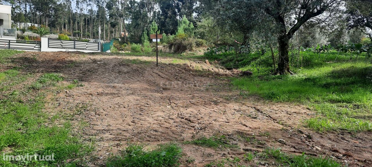 Terreno em Carvalhais, Freguesia de Pombal