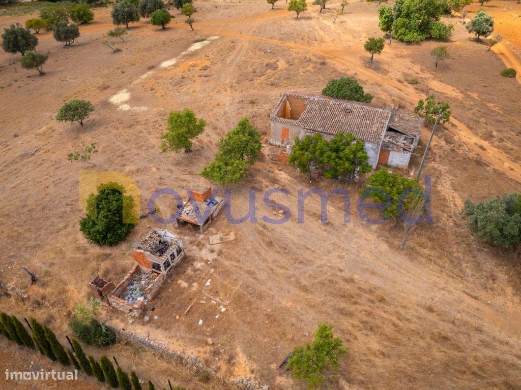 Quinta de 2,1 ha com Potencial para Turismo Rural- Guia Valverde-30