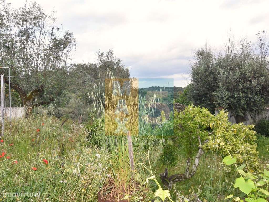 Moradia para recuperação na aldeia de Amieira do Tejo - Nisa-19