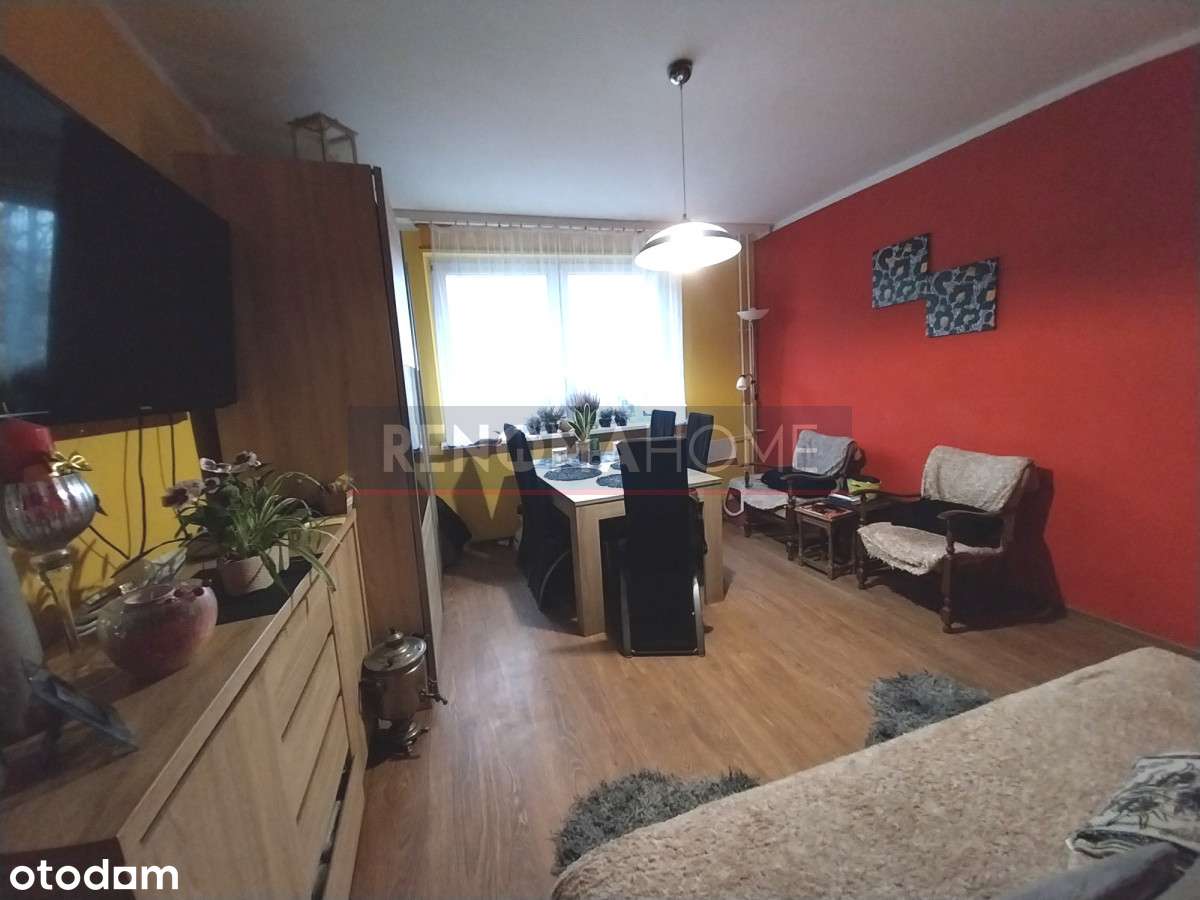 3 pokoje na 1 piętrze! - Pełny obrazek: 1/10