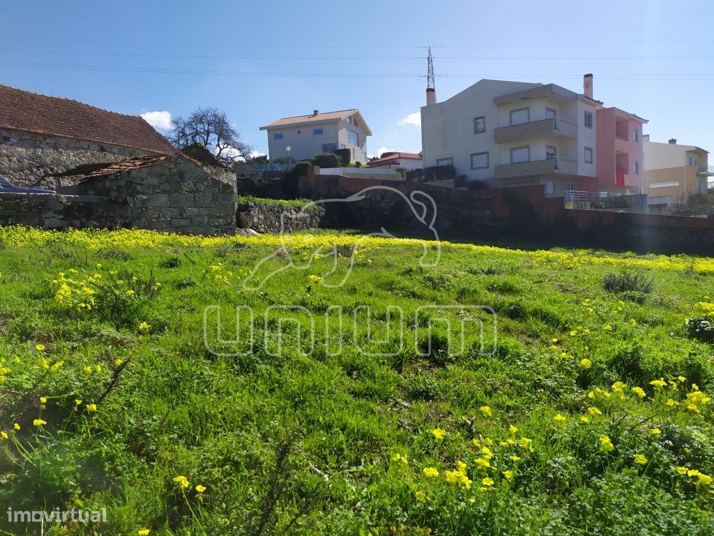 Lote Areosa, Viana do Castelo