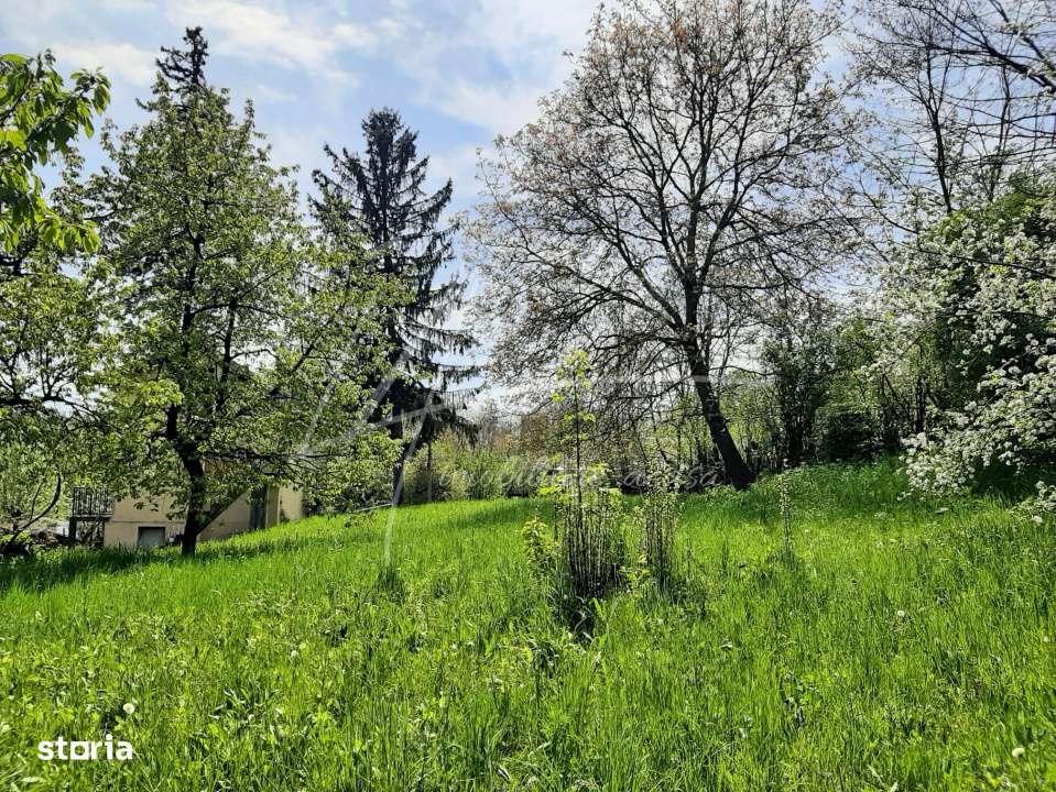 Teren intravilan 1740 mp. cu casa intabulata in PH-PROVITA DE SUS-1