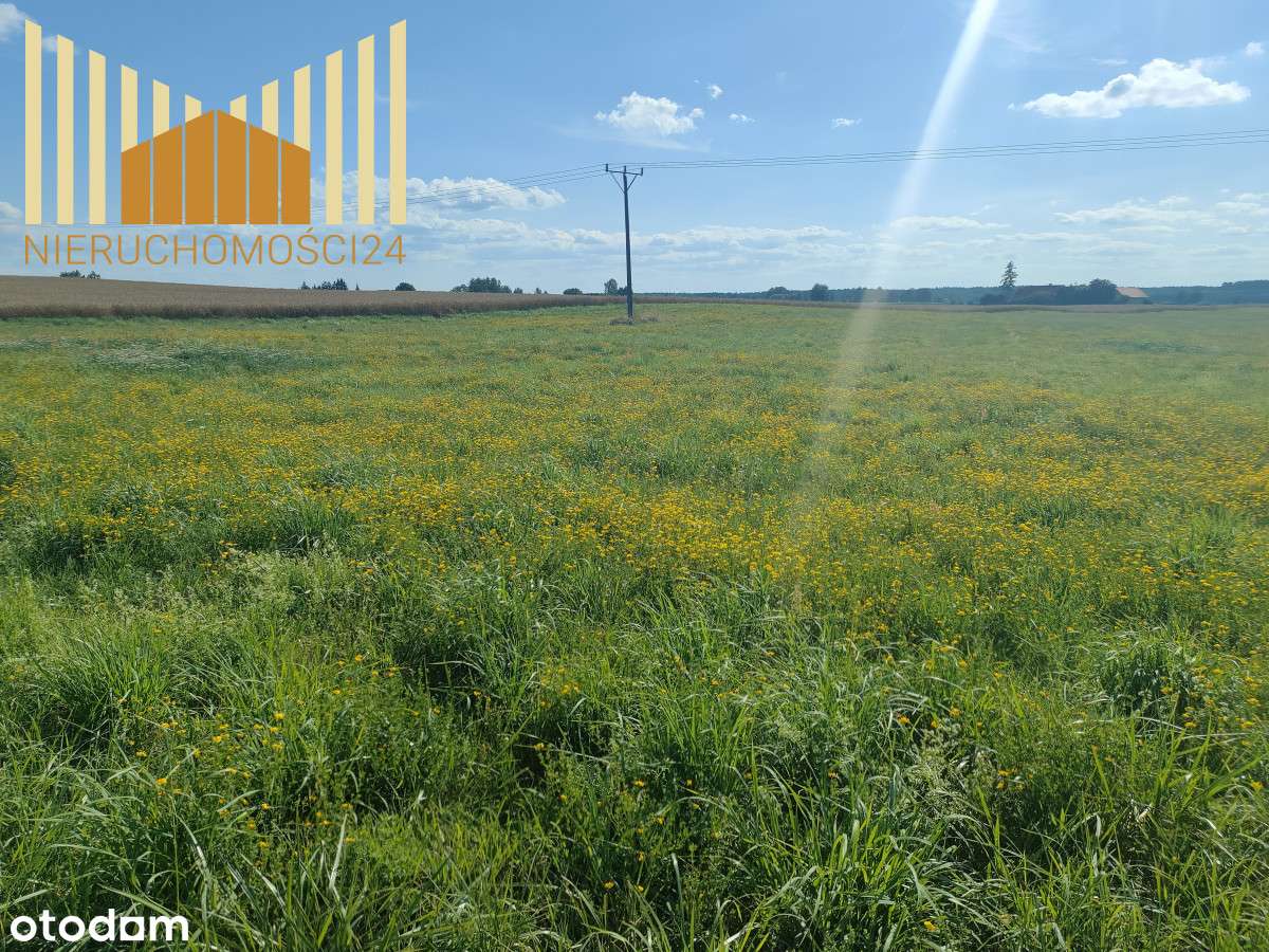 378012 - Pełny obrazek: 2/7