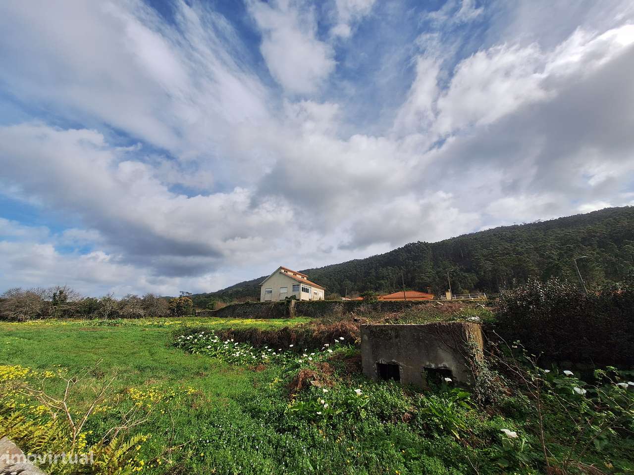 Quintinha com ruína em Carreço e vistas de mar, Viana do Castelo. - Grande imagem: 4/11