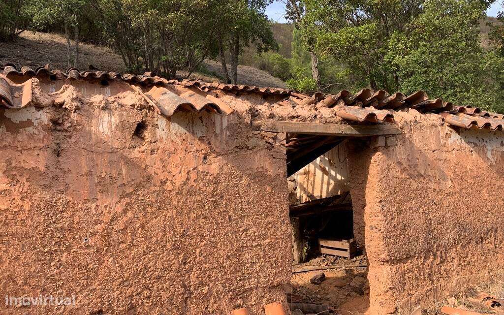 Terreno Rústico - Grande imagem: 5/5