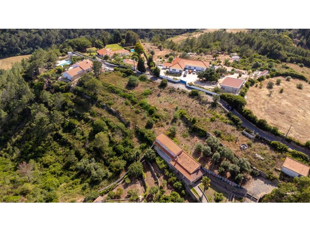 Terreno - Ericeira 6 km , A Casa das Casas - Grande imagem: 5/16