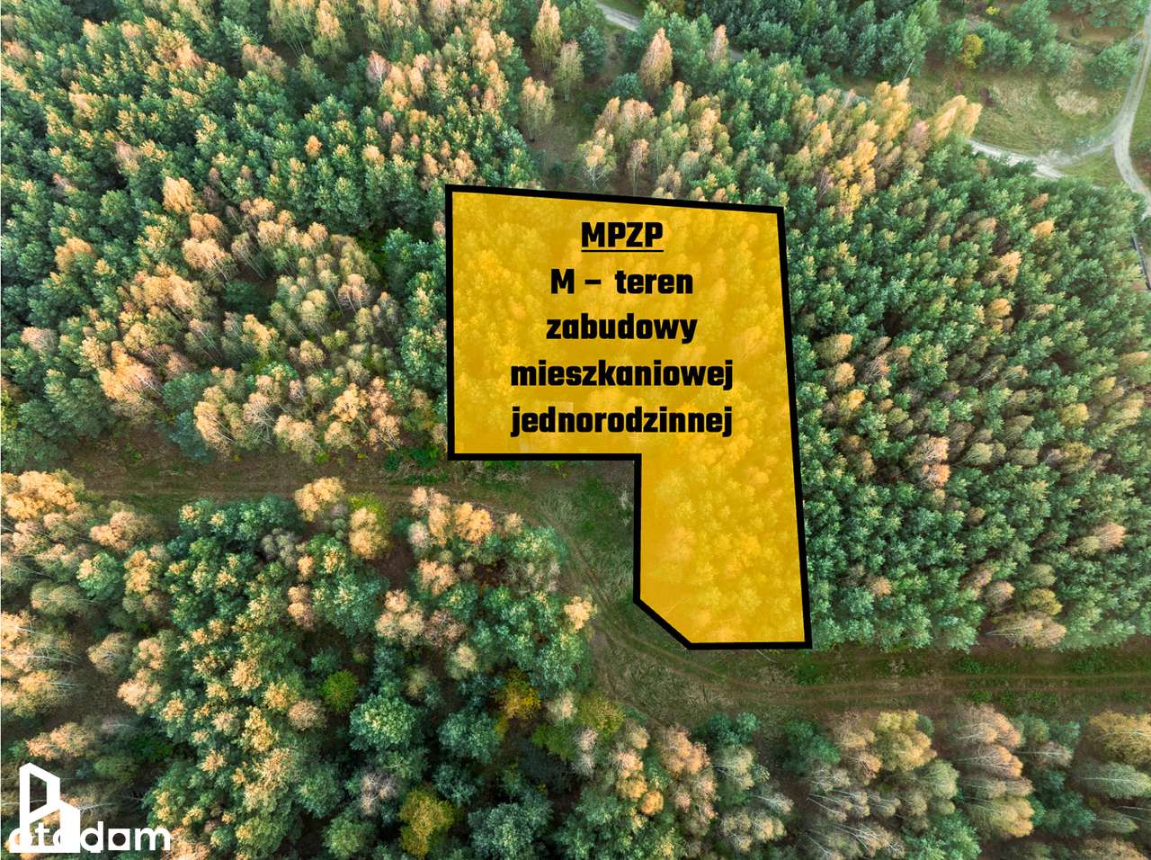 PUSZCZA ZIELONKA | Starodrzew | MPZP - zabudowa mieszkaniowa - Pełny obrazek: 5/7