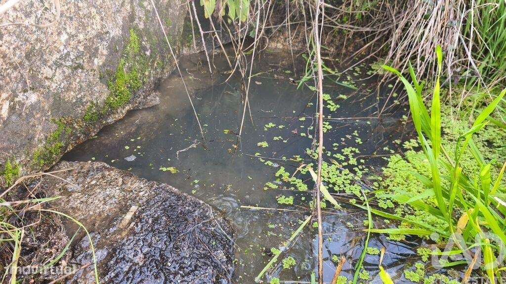Terreno Agrícola em Seixo da Beira - Grande imagem: 3/22