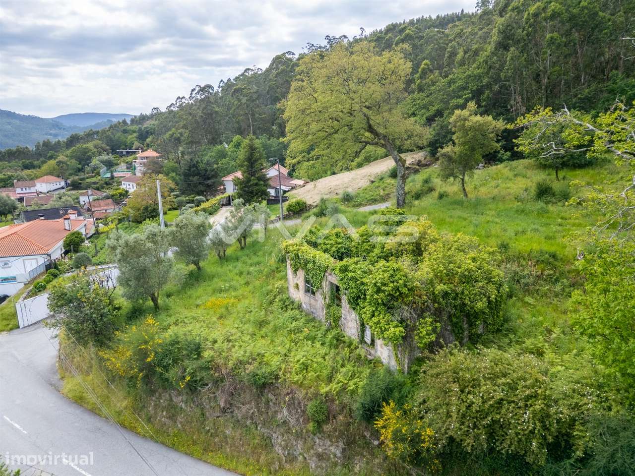 Moradia T0 Venda em Ardegão, Freixo e Mato,Ponte de Lima - Grande imagem: 5/15