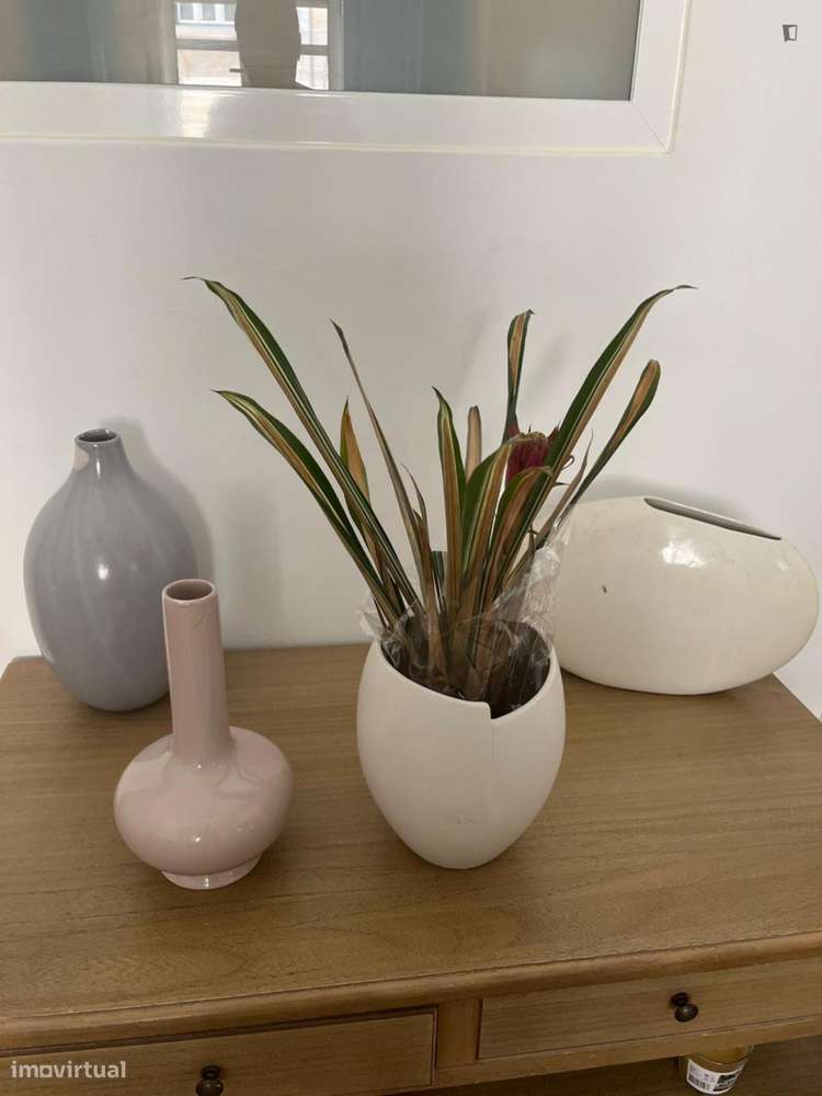 Apartamento com 1 quartos - localizado em Anjos Lisbon - Grande imagem: 4/6