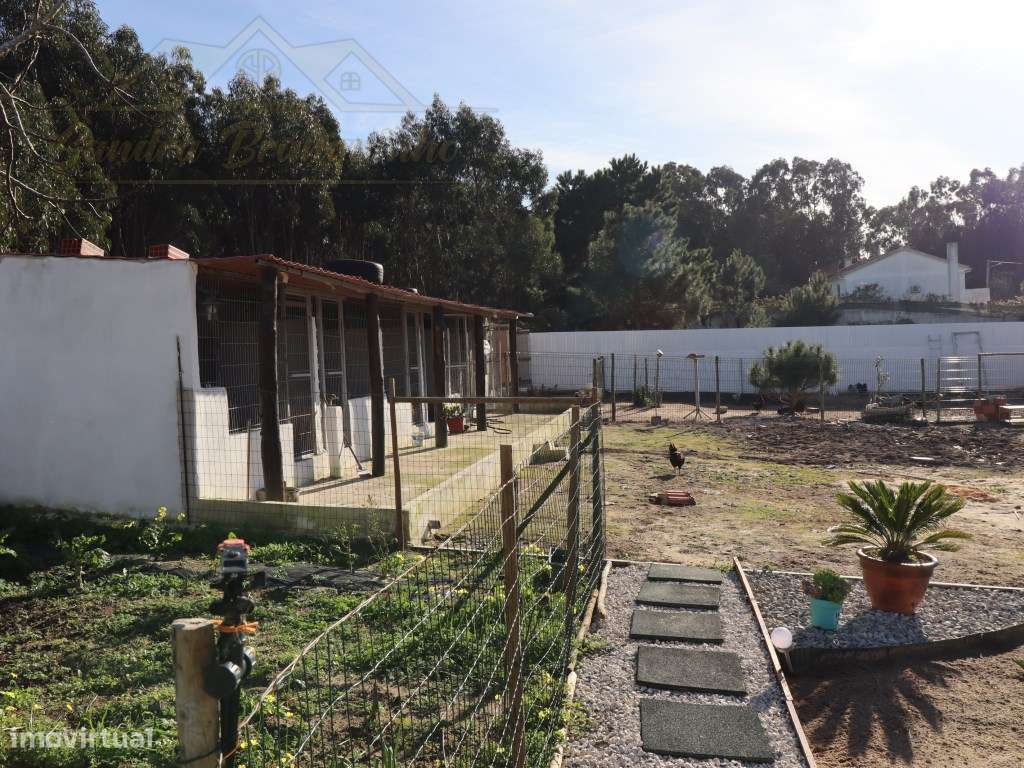 Moradia T3 em lote de 2800m2-13