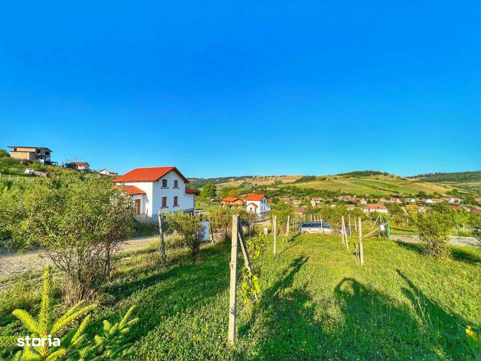 Teren Intravilan 1000 Mp-Utilitati-Sura Mare-2