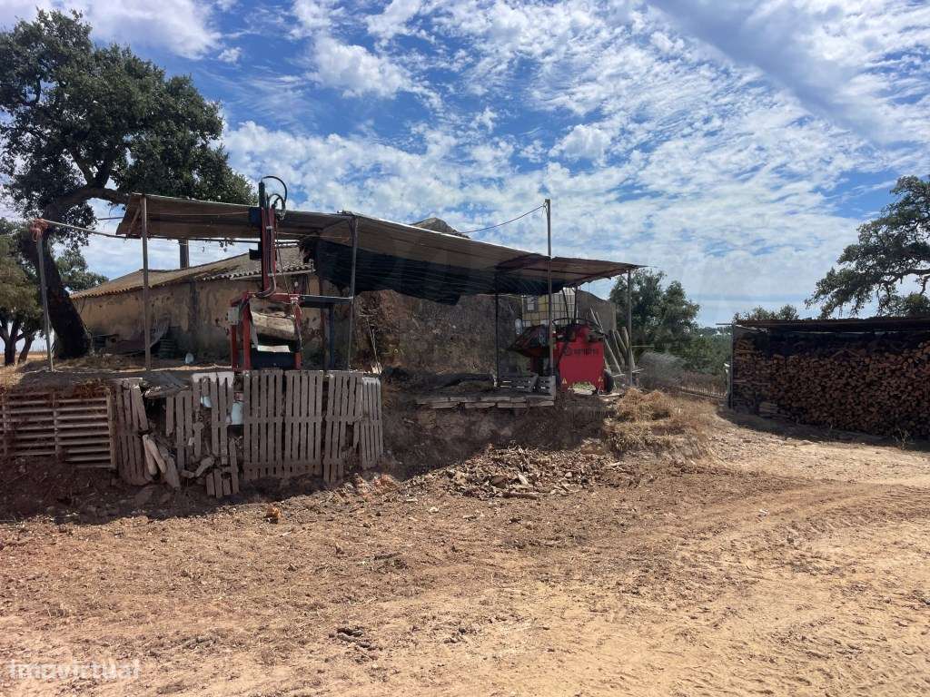 HERDADE COM 100 HECTARES E BASTANTE ARBORIZAÇÃO-48