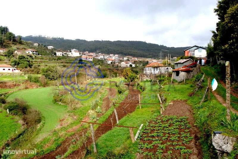 Quinta com 7930 m2 para venda em Vila Cova,  Penafiel - Grande imagem: 4/17