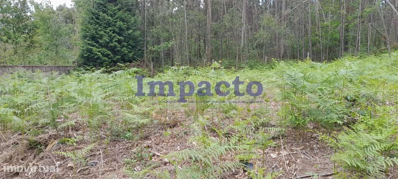 Terreno rústico em Milheirós de Poiares, Santa Maria da Feira - Grande imagem: 2/7
