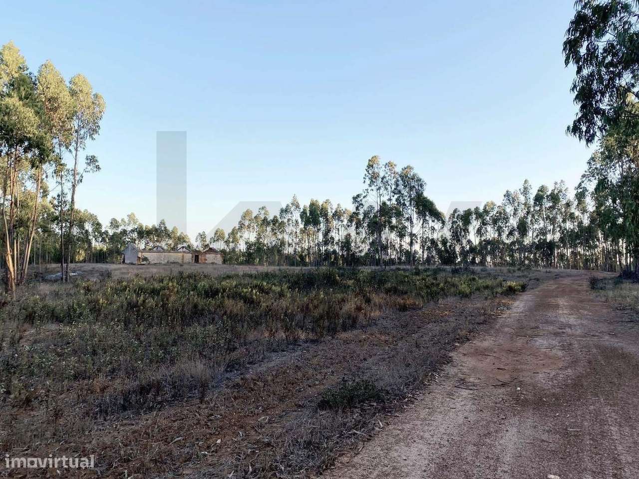 Herdade com 54 Hectares na Serra de Odemira: Moradia com projeto em Ta - Grande imagem: 2/23