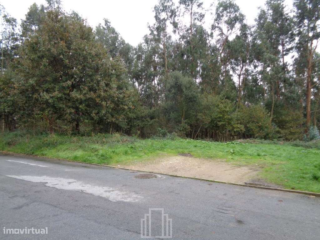 Terreno - S. V. Pereira Jusã - Grande imagem: 2/5