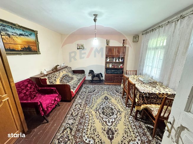 Casă traditionala cu potential de vânzare-HEMEIUS-13