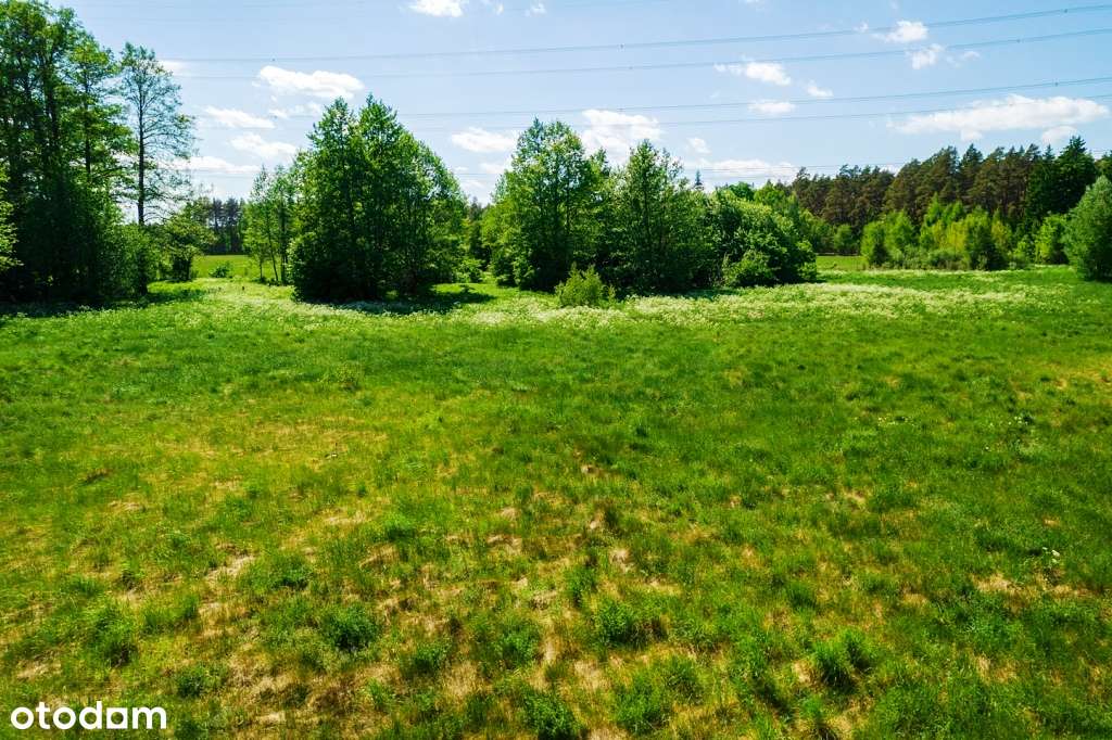 Działki budowlane w otoczeniu lasów i łąk - sielskie klimaty-17