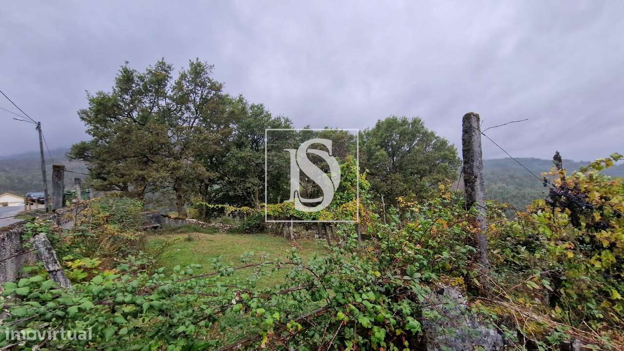 Vivenda de campo e vários terrenos para venda em Zebral, Vieira do Min-40