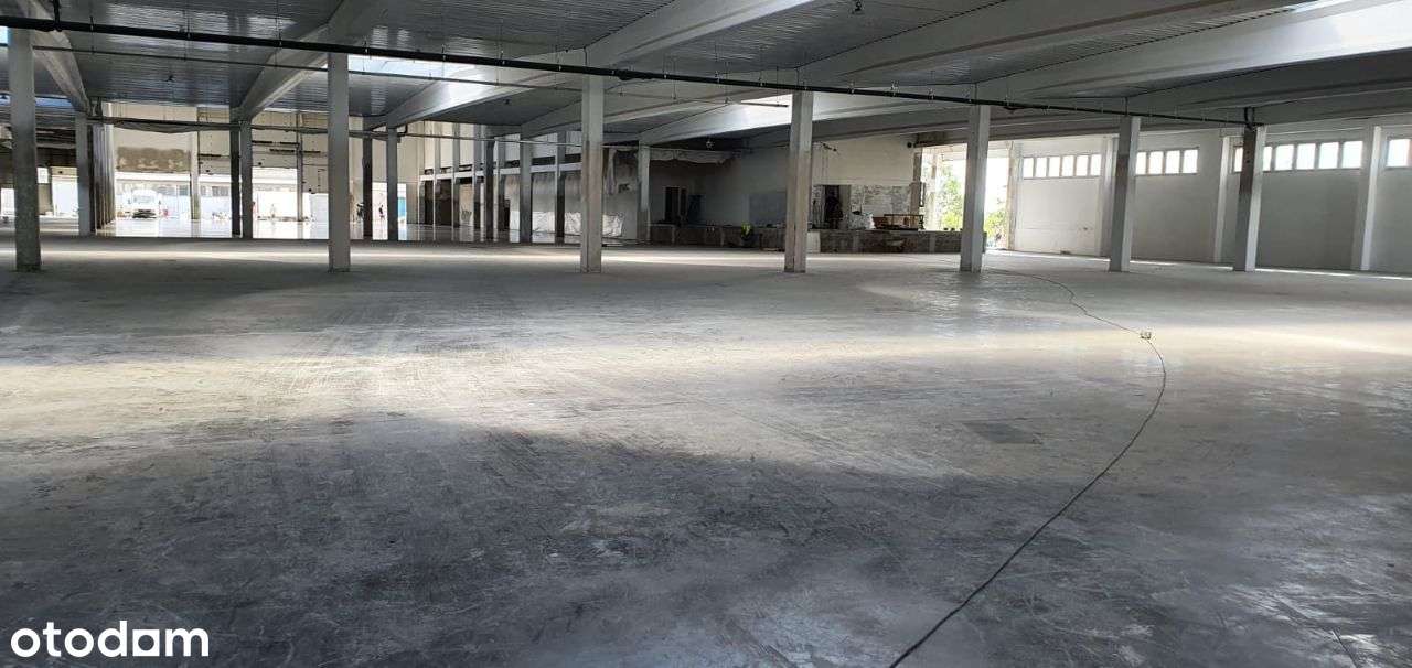 Powierzchnia magazynowo - produkcyjna - Pełny obrazek: 4/7