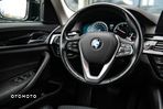 BMW Seria 5 530d Luxury Line - 10