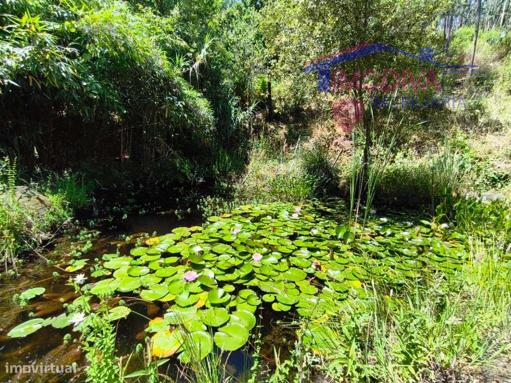 Propriedade com moradia, anexo, piscina e terreno com mais 2 ha-14
