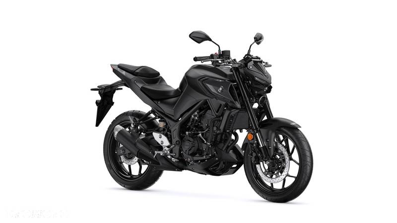 Yamaha MT - 3