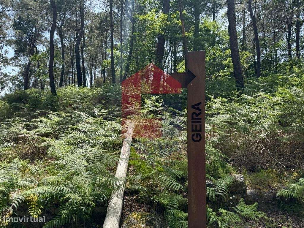 Terreno para projeto Turístico, Gerês-35